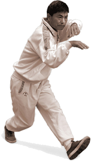Master Zhang Yu Fei
